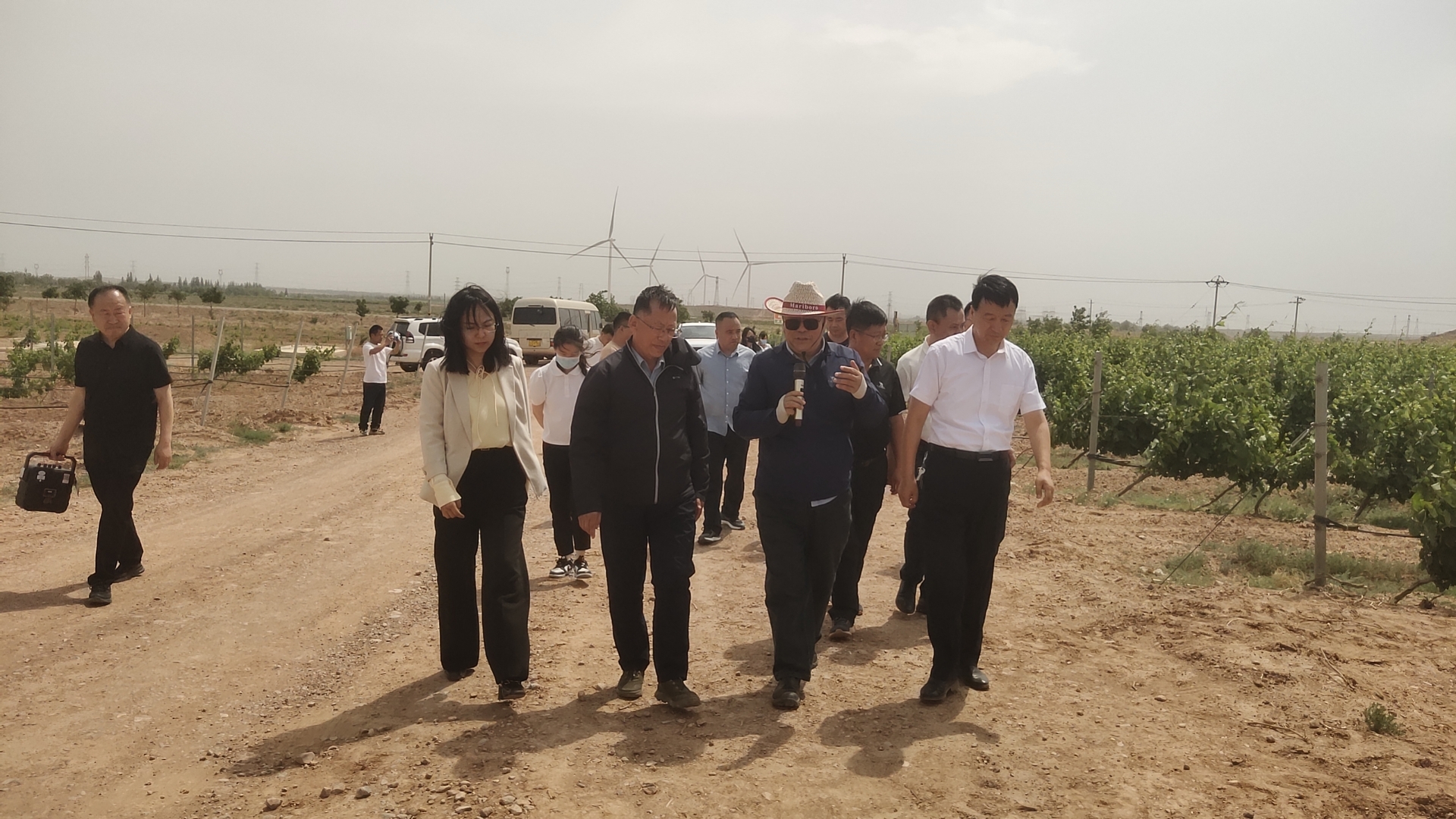 西班新闻 | 青铜峡市人大常委会调查组深入宁夏西班葡萄种植基地考察